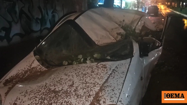 Κακοκαιρία: Δέντρο ισοπέδωσε αυτοκίνητο στην Ηλιούπολη, δείτε βίντεο