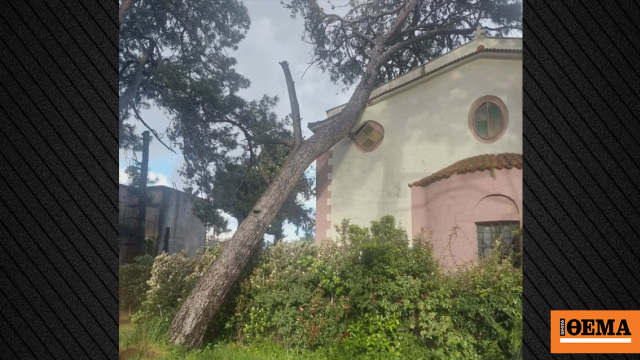 Σοβαρές ζημιές στον Ιερό Ναό Αγίων Πατέρων της Μυτιλήνης μετά από πτώση μεγάλου δέντρου, δείτε φωτογραφίες
