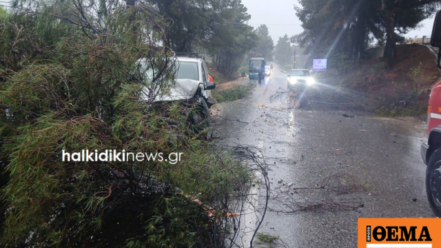 Τροχαία, κατολισθήσεις και διακοπή κυκλοφορίας λόγω της κακοκαιρίας «Erminio» στη Χαλκιδική, δείτε φωτογραφίες