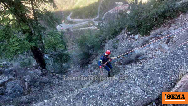 Νεκρός 54χρονος σε τροχαίο στην Ευρυτανία, το φορτηγό του έπεσε σε γκρεμό 40 μέτρων