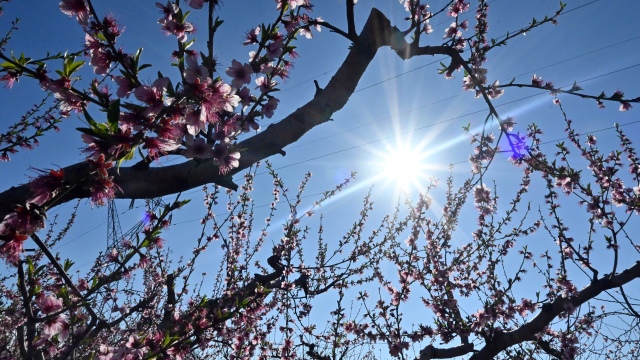 Καιρός: Άνοιξη με 24άρια στη Μεγάλη Εβδομάδα - Διχάζονται τα μοντέλα για το Πάσχα