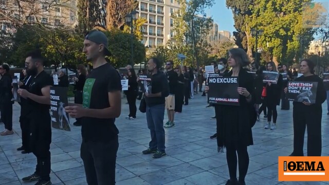 «Μπορούμε να γιορτάσουμε το Πάσχα χωρίς να σκοτώνουμε» - Νέα διαδήλωση vegan στο Σύνταγμα, δείτε βίντεο