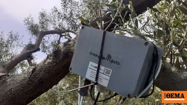 Αγουρέλαιο Χαλκιδικής: Καινοτόμo πρωτόκολλο παραγωγής με ευφυή συστήματα «εκτοξεύει» τις δυνατότητες των ελαιοκαλλιεργητών