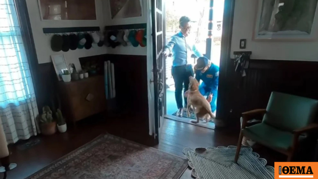 Η αστροναύτης του Artemis II βλέπει το σκυλάκι της μετά από μέρες - Η επανένωση έγινε viral στο διαδίκτυο, δείτε το βίντεο