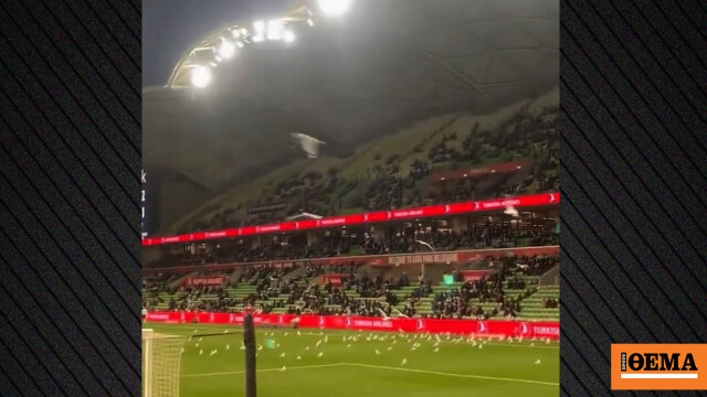 Αυστραλία: Γλάροι εισέβαλαν στον αγωνιστικό χώρο και δημιούργησαν χάος σε ποδοσφαιρικό παιχνίδι, δείτε βίντεο