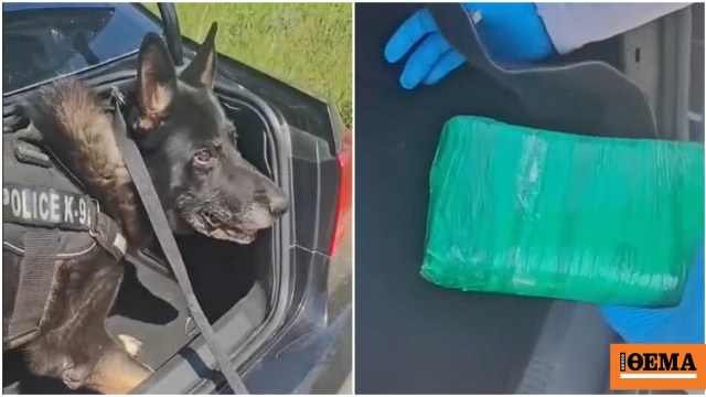 Θεσσαλονίκη: Αστυνομικός σκύλος βρήκε πάνω από ένα κιλό κοκαΐνης σε αυτοκίνητο, δείτε βίντεο