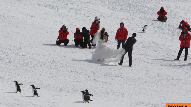 Πώς είναι πραγματικά να παντρεύεσαι στην Ανταρκτική; Ένα ζευγάρι το έζησε – «Ο ιερέας έφτασε με παγοθραυστικό»