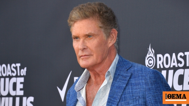 Ο Ντέιβιντ Χέισελχοφ εμφανίστηκε με πι σε έξοδο με τη σύζυγό του