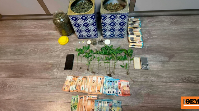 Συνελήφθη οικογένεια που καλλιεργούσε φυτά κάνναβης και διακινούσε ναρκωτικά στα Ιωάννινα, δείτε βίντεο