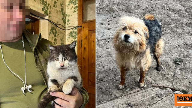 Συγκινητική διάσωση: Στρατιώτες στην Ουκρανία μετέφεραν γάτα και σκύλο με drone από την πρώτη γραμμή του πολέμου