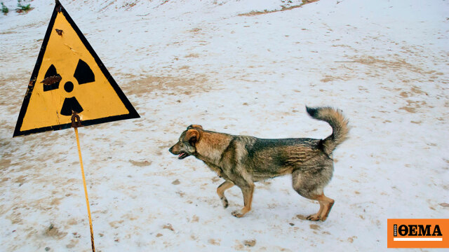 Οι επιστήμονες αναλύουν το μεγαλύτερο παράδοξο στο Τσερνόμπιλ: «Είναι πολύ καλύτερα από ό,τι πριν»