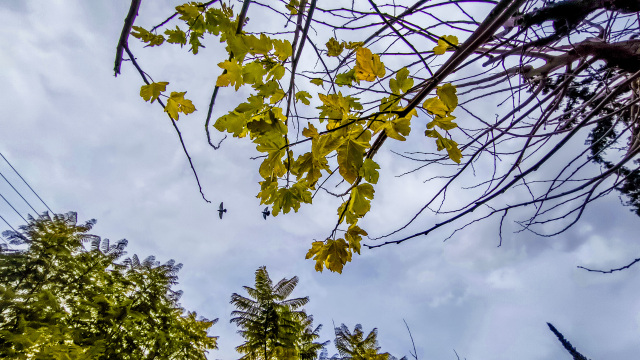 Αλλάζει ο καιρός: Βροχές και πτώση της θερμοκρασίας μετά το μεσημέρι, η πρόγνωση για την Πρωτομαγιά
