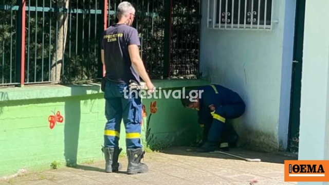 Αναστάτωση σε νηπιαγωγείο στις Συκιές Θεσσαλονίκης μετά την εμφάνιση φιδιών: «Φοβόμαστε να στείλουμε τα παιδιά μας σχολείο»