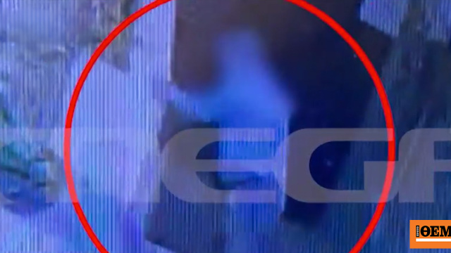 Πρώην αντιδήμαρχος Κρήτης κατηγορείται ότι σκότωσε γατάκι - Τι φέρεται να υποστηρίζει ο ίδιος για το βίντεο που τον έχει καταγράψει