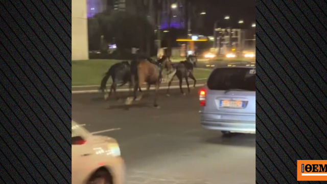 Δείτε βίντεο: Άλογα εκτός ελέγχου καλπάζουν σε λεωφόρο της Ρώμης, πέντε τραυματίες
