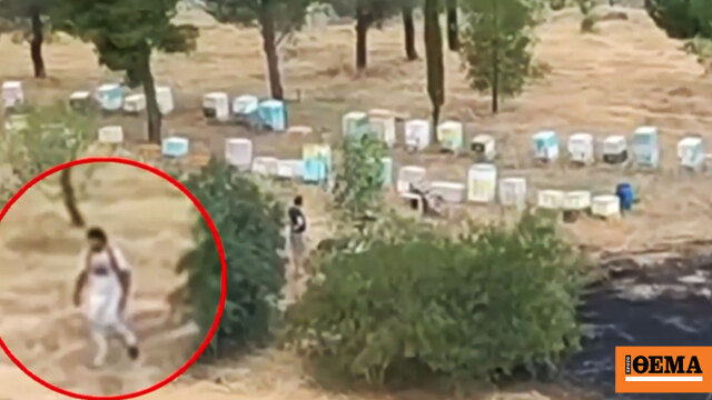Συνελήφθη ο 45χρονος μελισσοκόμος που έβαλε τη φωτιά στο Άλσος Βεΐκου