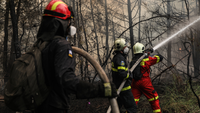 Δύο συλλήψεις για πυρκαγιές από αμέλεια σε Δομοκό και Σαλαμί