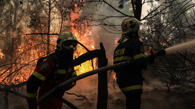 Θεσσαλονίκη: Τρεις συλλήψεις για την πυρκαγιά σε δασική έκτα
