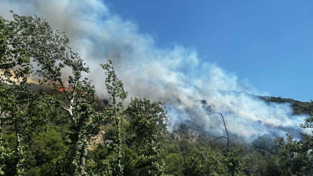 Τουρνάς: H απειλή τη φετινή αντιπυρική περίοδο είναι η συσσω