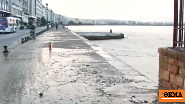 Βγήκε στην στεριά το φυτοπλαγκτόν στο λιμάνι της Θ