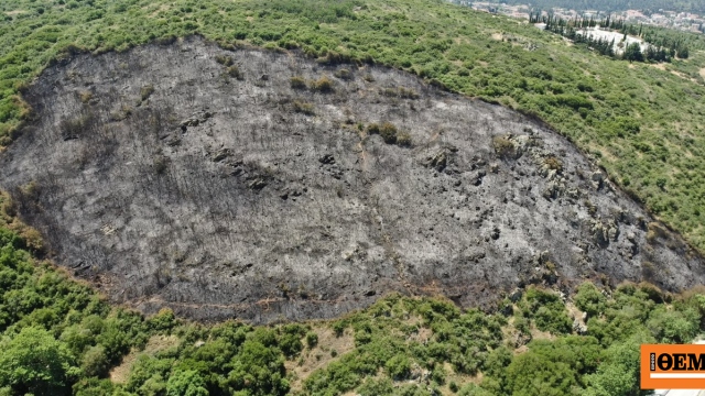 Για εμπρησμό από αμέλεια κατηγορούνται οι τρεις εργάτες που 