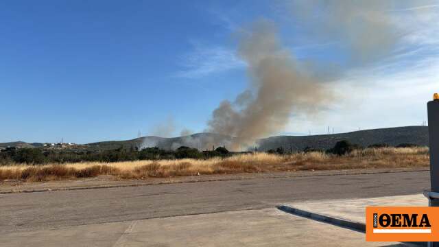 Φωτιά τώρα κοντά στην Ιερά Μονή Θεοσκέπαστης στην Κερατέα, σ