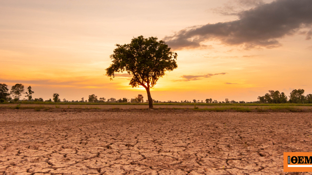 El Nino iklim fenomeni başladı, ABD NOAA ajansı duyurdu
