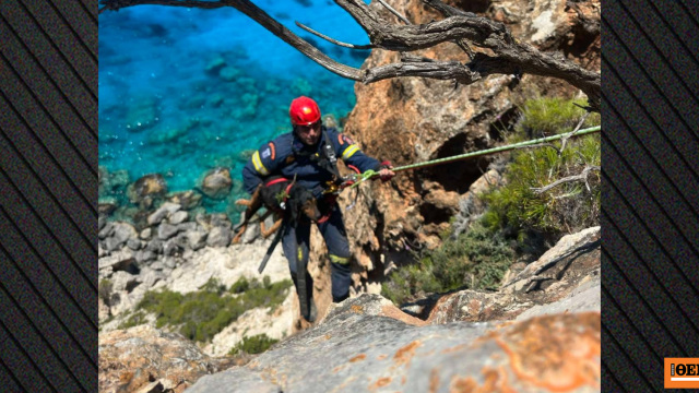 Η Πυροσβεστική έσωσε σκύλο που έπεσε σε γκρεμό παραλίας στη 