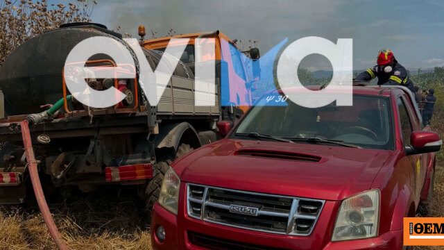 Φωτιά στις Μεσσαπιές Ευβοίας, καίει περιοχή με καλαμιές