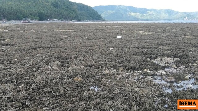7,8 Büyüklüğündeki Filipinler Depremi Deniz Tabanını 2 Metreye Kadar Yükseltti