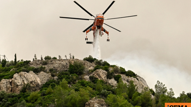 Πέντε συλλήψεις για πυρκαγιές από αμέλεια το Σαββατοκύριακο