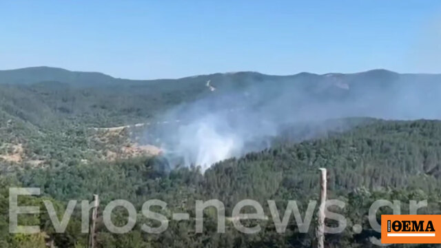 Φωτιά στον Μέγα Δέρειο Έβρου, σηκώθηκαν 5 αερόσκαφη