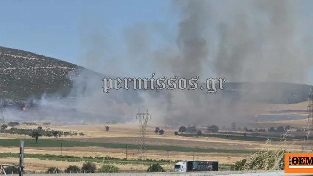 Υπό έλεγχο η φωτιά στην Αθηνών - Λαμίας στο ύψος της Ριτσώνας