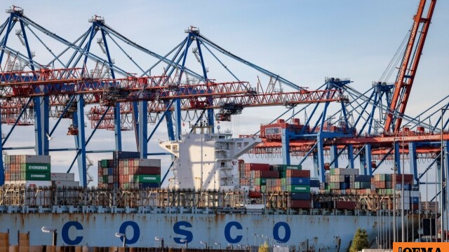 COSCO'nun OLP'de 10 Yılı: Muhasebe ve Gelecek Planı
