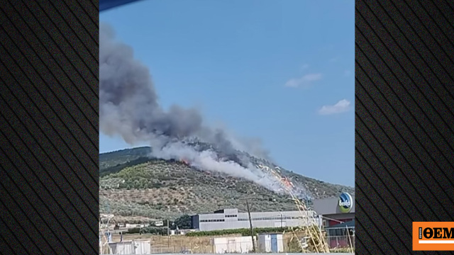 Φωτιά στο Σπαθοβούνι Κορινθίας, σηκώθηκαν 7 εναέρια, δείτε βίντεο
