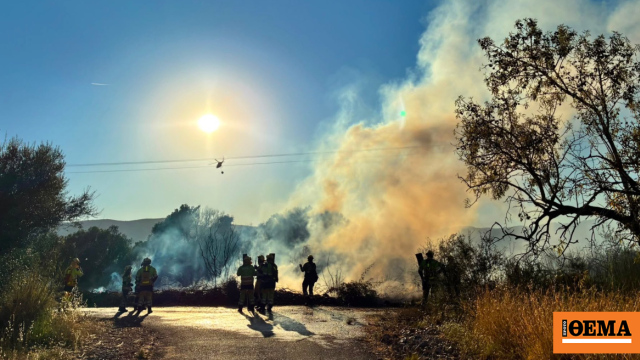 Πάνω από 1200 πυροσβέστες στη μάχη με τις φλόγες στην Πορτογαλία, τέσσερις τραυματίες