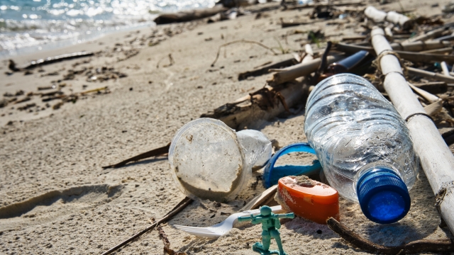 WWF: Yunan plajları plastikten 'boğulmaya' devam ediyor, en sık bulunan atık izmarit