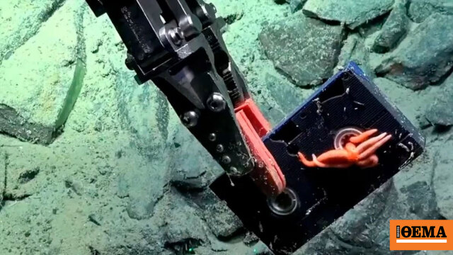 Bilim İnsanları Atlantik'te 4.000 Metre Derinlikte Olmaması Gereken Bir Şeye Tökezledi