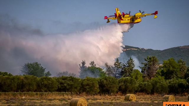 Ενισχύεται το Ανακριτικό της Πυροσβεστικής στην Θεσσαλονίκη μετά από αυξημένες φωτιές το τελευταίο διάστημα