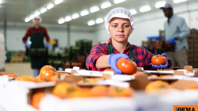Yunan Gıda ve İçecek Sanayii İhracatı Son On Yılda İkiye Katlandı