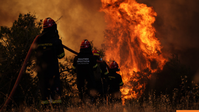 Συνελήφθη 66χρονος για πρόκληση πυρκαγιάς στην Χαλκιδική, του επιβλήθηκε πρόστιμο 1.687,50 ευρώ