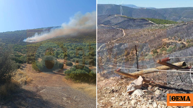 Πώς ξεκίνησε η φωτιά στη Βοιωτία: Τι αποκάλυψε η αυτοψία της Πυροσβεστικής «στο σημείο μηδέν», φωτογραφίες ντοκουμέντο