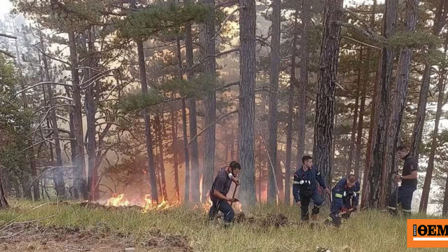 Η μάχη των δασοκομάντος με τις φλόγες στην Κόνιτσα, καλύτερη η εικόνα της πυρκαγιάς, δείτε βίντεο και φωτογραφίες