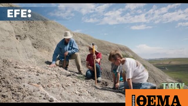 WebTV - El descubrimiento de un T-Rex adolescente puede revelar por qué ...