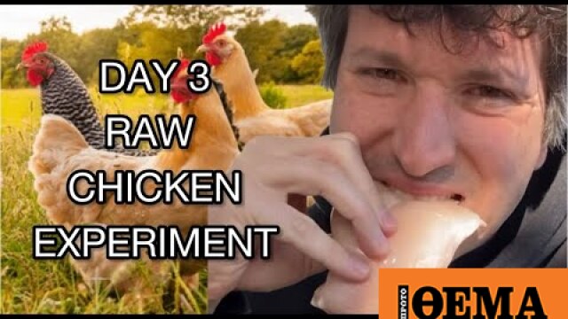 WebTV - Day 3: Raw Chicken Experiment