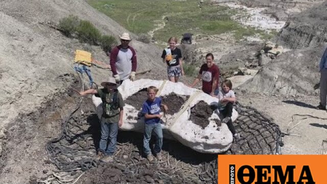 WebTV - Rare T. rex fossil going on display in Colorado