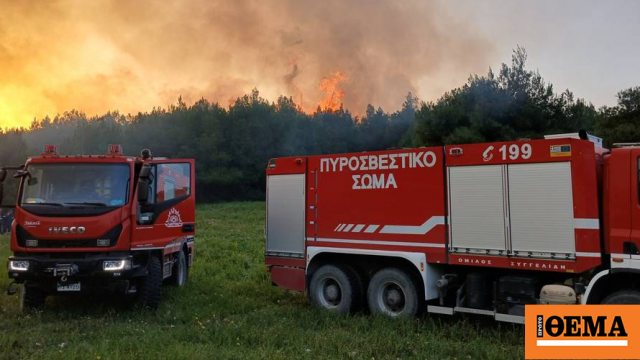 Φωτιά τώρα στο χωριό Κοιλιωμένος Ζακύνθου Φωτιά τώρα στο χωριό Κοιλιωμένος Ζακύνθου