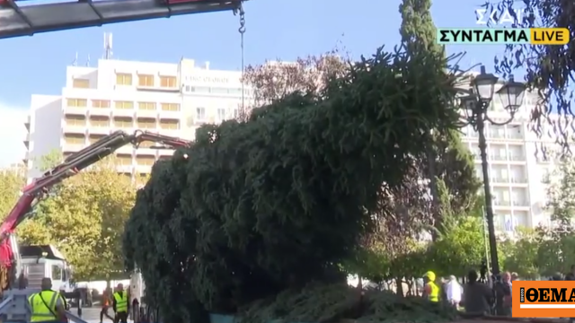 Σε Σύνταγμα και Αριστοτέλους τα χριστουγεννιάτικα δέντρα σε Αθήνα και Θεσσαλονίκη