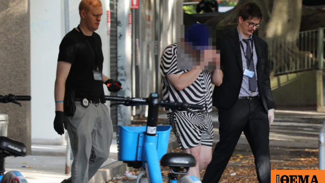 Τέσσερις συλλήψεις για κύκλωμα που διακινούσε πορνογραφικό υλικό με παιδιά, κτηνοβασίες και σατανισμό