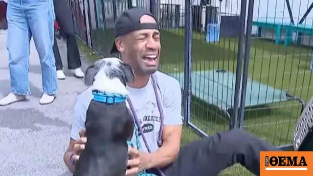 Συγκινητικό βίντεο: Βρήκε τον σκύλο του τρία χρόνια αφού τον είχαν κλέψει  στο Λος Άντζελες και ξέσπασε σε λυγμούς, δείτε βίντεο